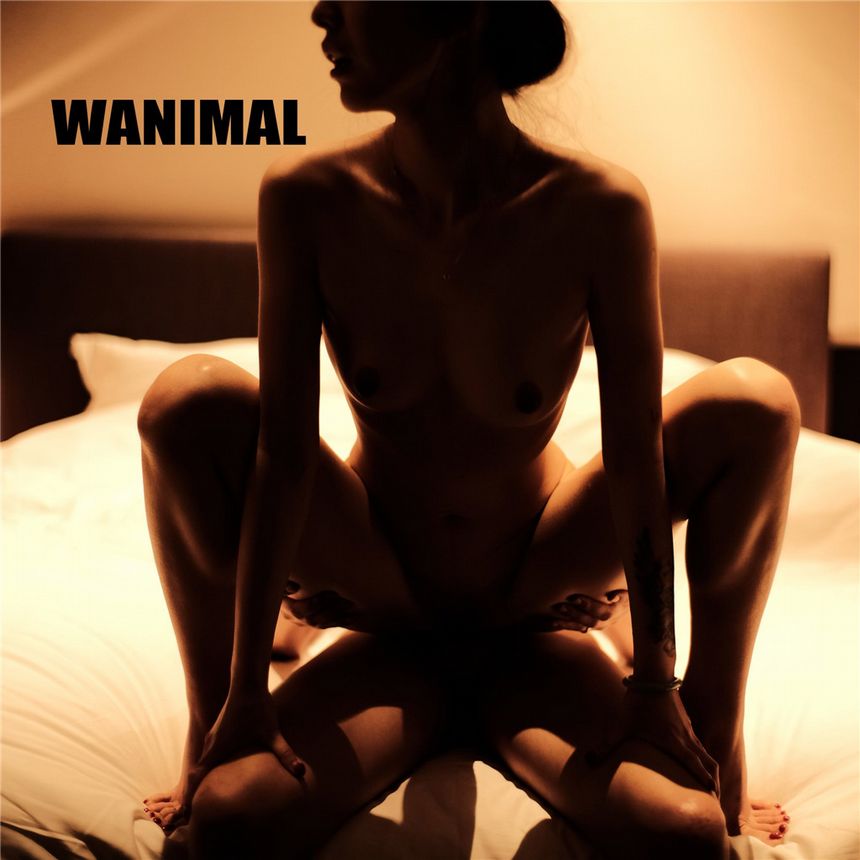 WANIMAL官方出品2019年6月无圣光套图[70P]