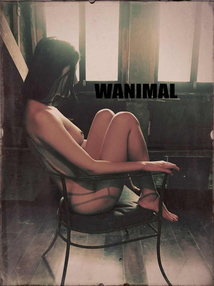 WANIMAL官方出品3月SM无圣光套图[172P]