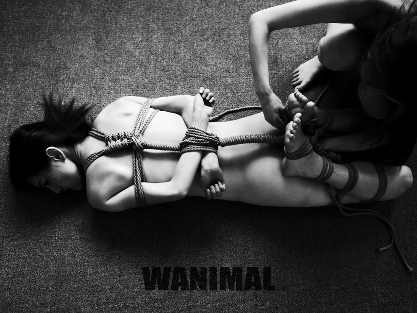 WANIMAL官方出品3月SM无圣光套图[172P]