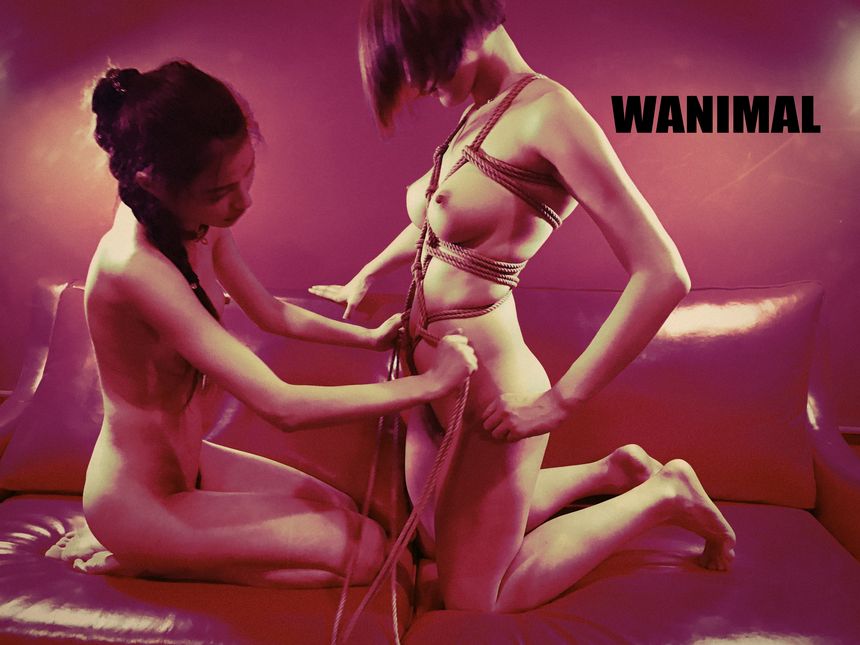 WANIMAL官方出品3月SM无圣光套图[172P]