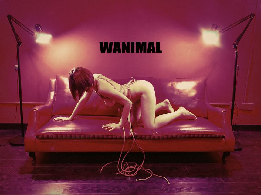 WANIMAL官方出品3月SM无圣光套图[172P]