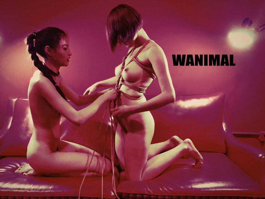 WANIMAL官方出品3月SM无圣光套图[172P]