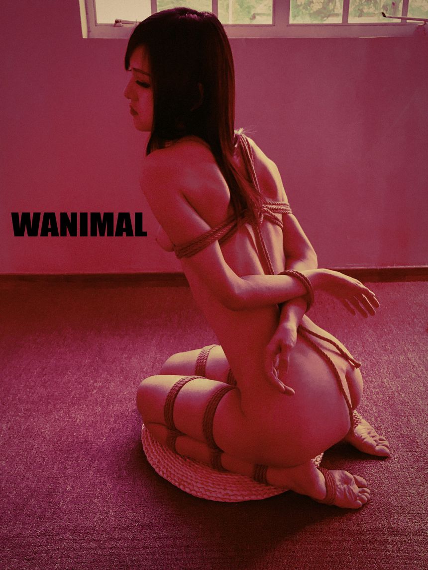 WANIMAL官方出品3月SM无圣光套图[172P]