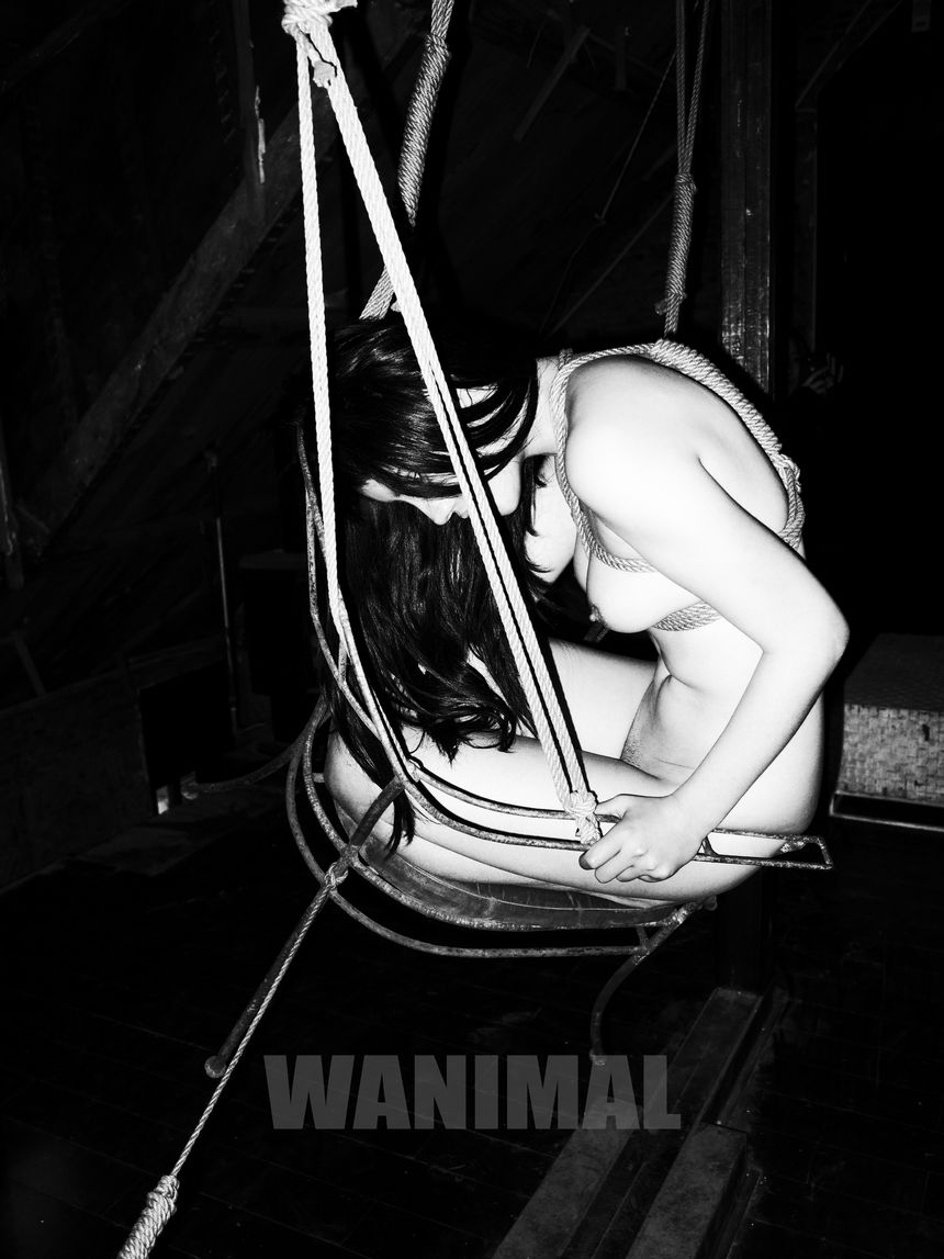 WANIMAL官方出品3月SM无圣光套图[172P]
