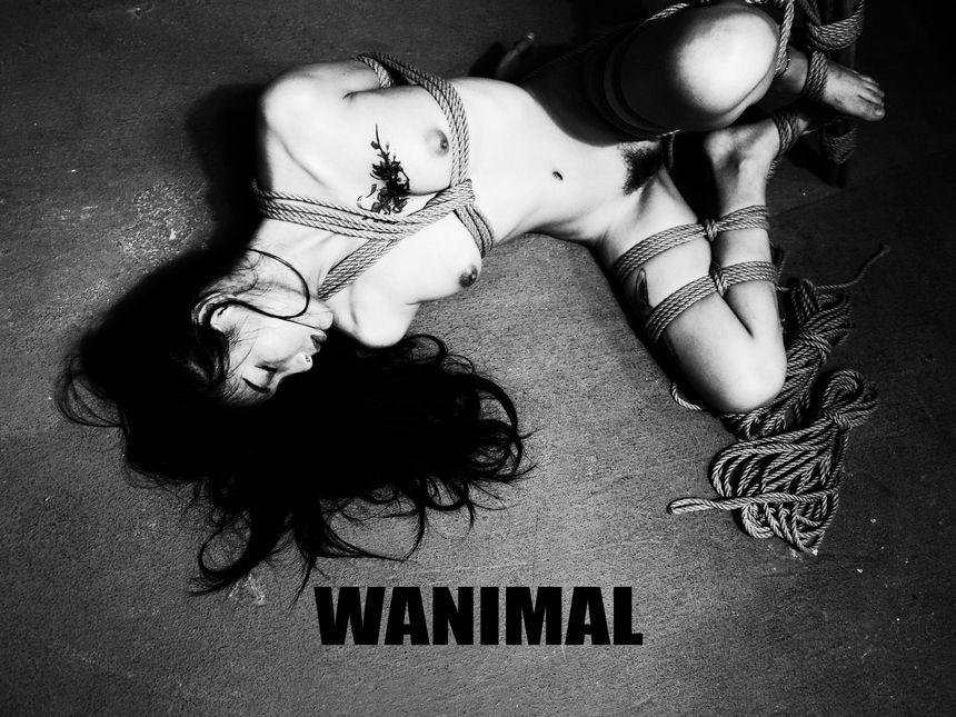 WANIMAL官方出品3月SM无圣光套图[172P]
