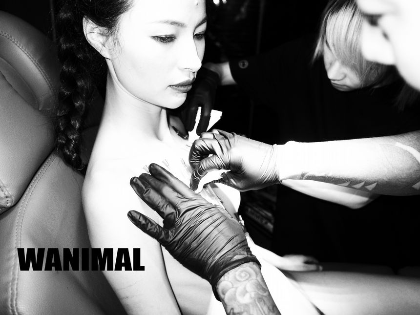WANIMAL官方出品3月SM无圣光套图[172P]