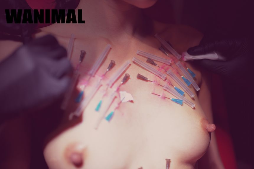 WANIMAL官方出品3月SM无圣光套图[172P]