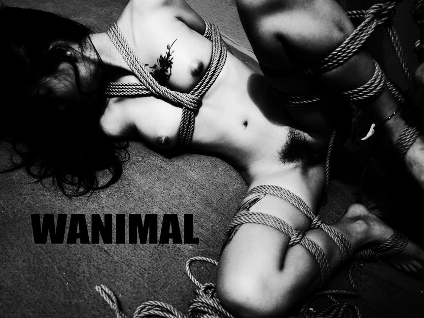 WANIMAL官方出品3月SM无圣光套图[172P]