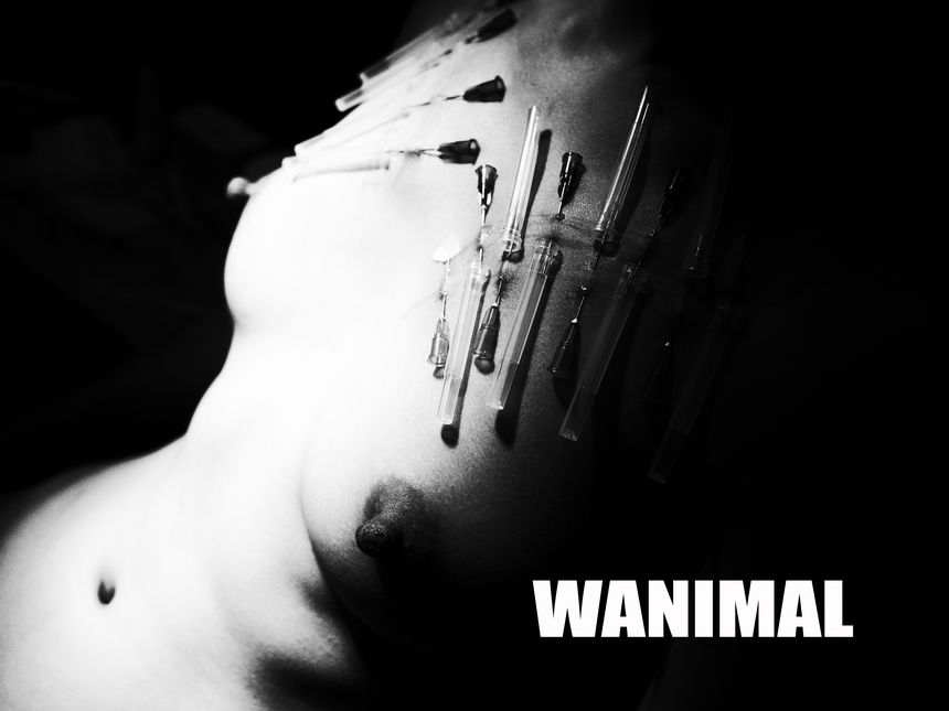 WANIMAL官方出品3月SM无圣光套图[172P]
