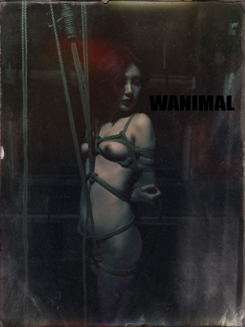 WANIMAL官方出品3月SM无圣光套图[172P]