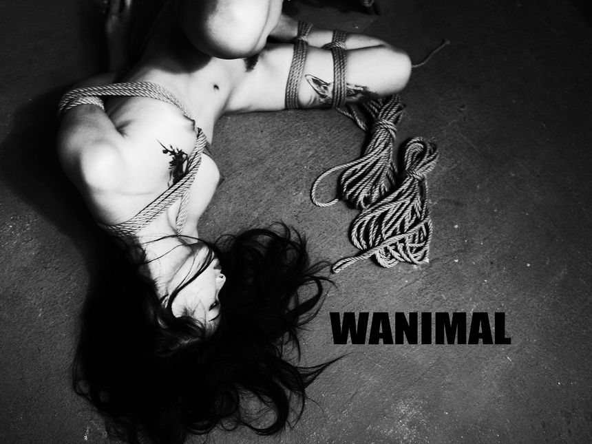 WANIMAL官方出品3月SM无圣光套图[172P]