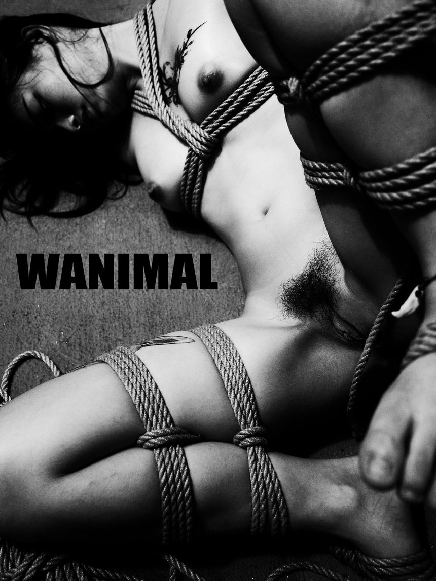 WANIMAL官方出品3月SM无圣光套图[172P]