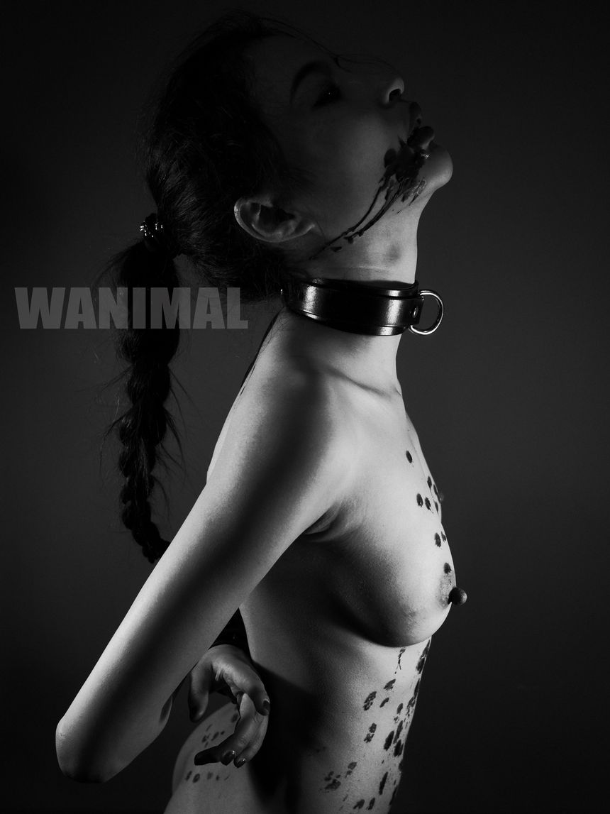 WANIMAL官方出品3月SM无圣光套图[172P]