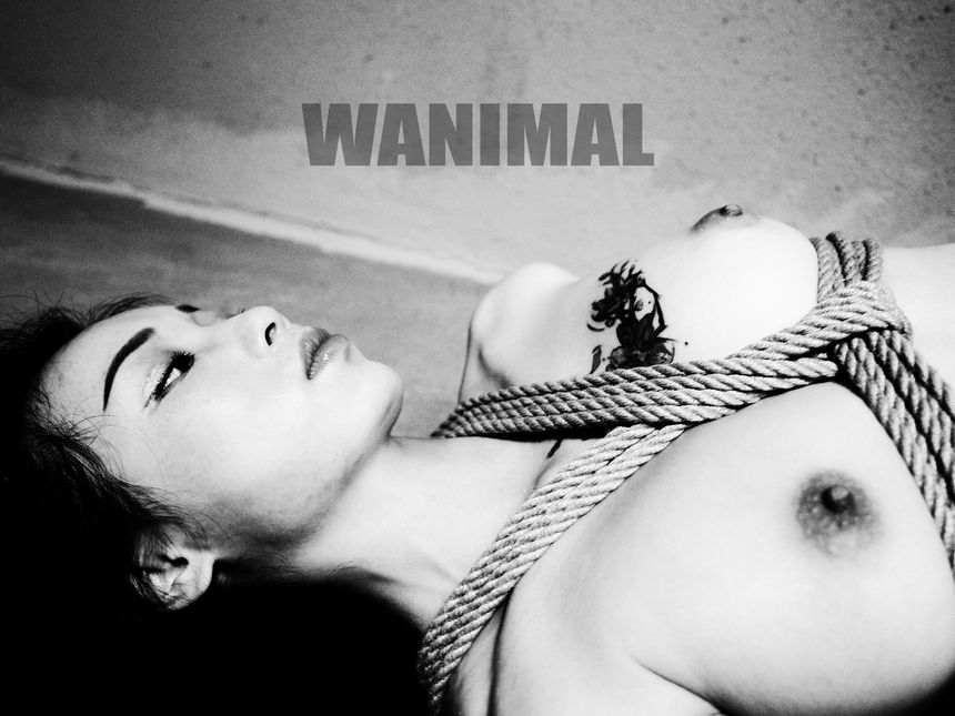 WANIMAL官方出品3月SM无圣光套图[172P]