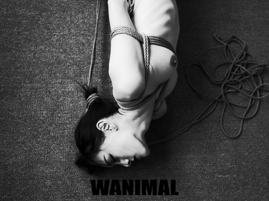 WANIMAL官方出品3月SM无圣光套图[172P]