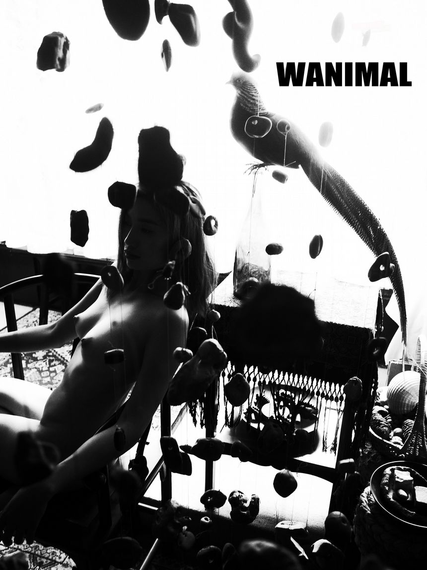 WANIMAL官方出品5月VIP无圣光套图[160P]