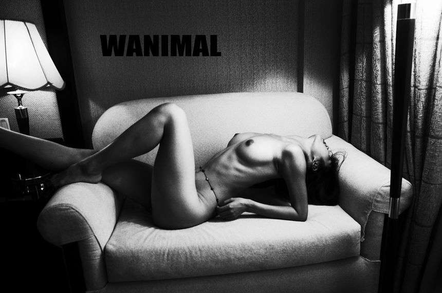 WANIMAL官方出品9月VIP无圣光套图[90P]