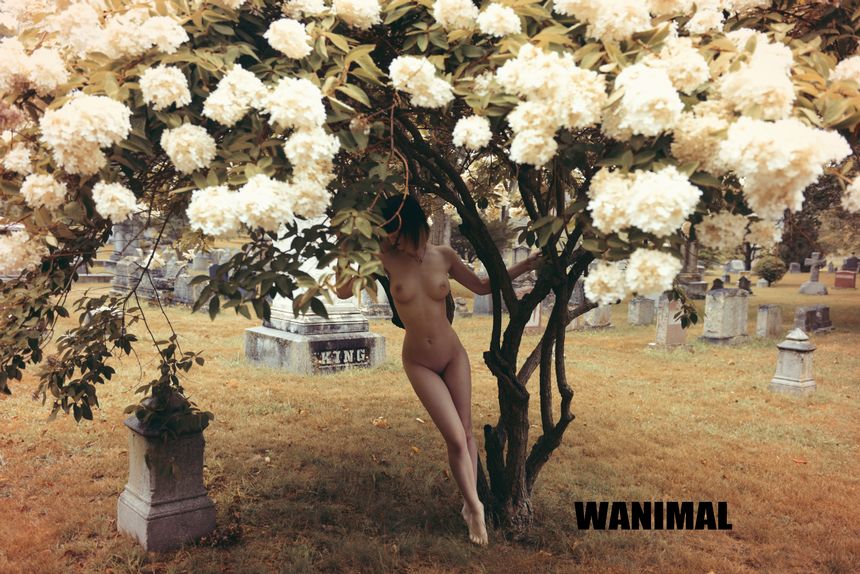 WANIMAL官方出品9月VIP无圣光套图[90P]