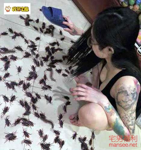 一大波内涵图扑来。再次刷新你的三观，无节操图片
