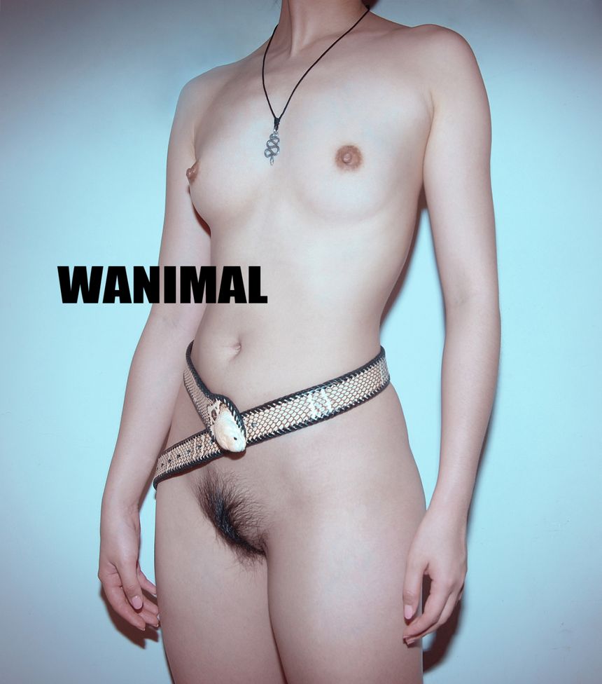 目前收集到的王动wanimal最全人体艺术套图合集下载
