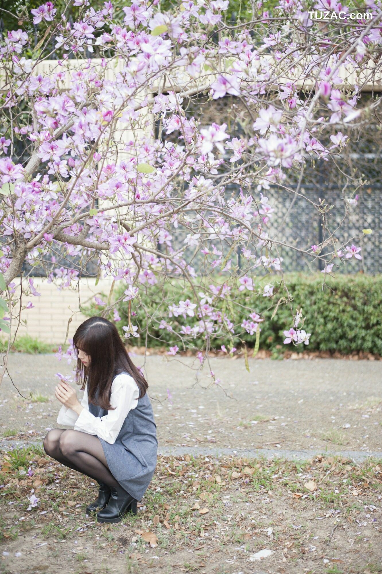 台湾正妹_ 彭丽嘉(Lady憶憶)《樱花下的黑丝》 写真集[33P]