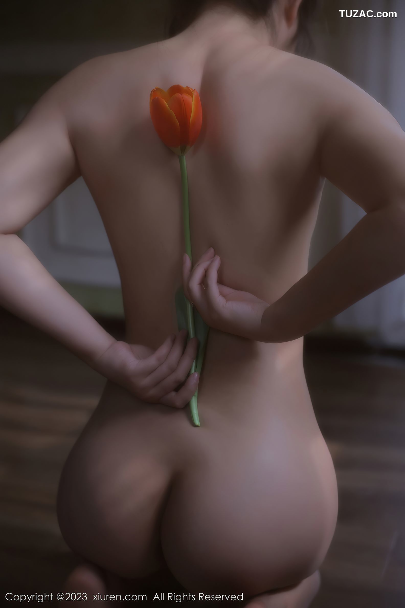 XiuRen秀人网-6601-露露Luncy-万宁旅拍-紫色轻透情趣服饰-2023.04.20
